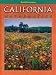 Search : California Mathematics, Level 3