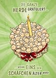 Eigenschaften Nici 60341 / NICI Postkarte, Geburtstag, Die ganze Herde...