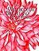 Watercolor Bright and Beautiful
