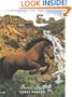 Phantom Stallion #19: Secret Star