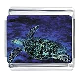 Animal Photo Sea Turtle Italian Charms Bracelet