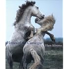 Horses of the Camargue by Hans Silvester, Sophie Delavoie, and Laurel Hirsch