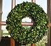 Flora Decor Preserved Boxwood Wreath Round 16