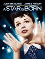 A Star Is Born (1954)