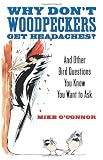 Why Dont Woodpeckers Get Headaches?: And Other Bird Questions You Know You Want to Ask