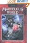 The Marvelous Effect (Marvelous World)