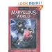 The Marvelous Effect (Marvelous World)