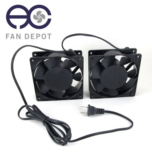 Image #2 of 72" Inch Daisy