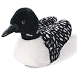 Common Loon