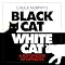 �L CAT CHAT