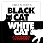 Black Cat, White Cat: A Pop-Up Book of Opposites