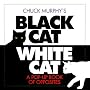 Black Cat, White Cat: A Pop-Up Book of Opposites by Chuck Murphy