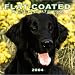 Book Flat-Coated Retrievers 2004 Calendar