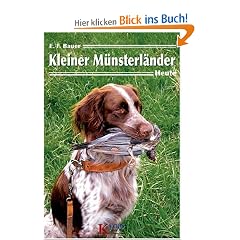 Kleiner M�nsterl�nder heute