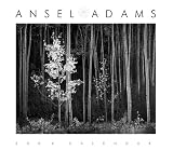 Ansel Adams 2006 Engagement Calendar