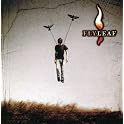 Flyleaf