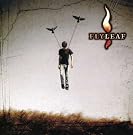 Flyleaf