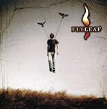 Flyleaf CD/DVD [Special Edition]