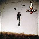 Flyleaf CD/DVD [Special Edition]