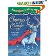 Christmas in Camelot (A Stepping Stone Book(TM))