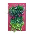GroVert Living Wall Planter with Wooden Frame Kit