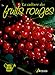 La culture des fruits rouges