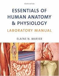 Essentials of Human Anatomy & Physiology Laboratory Manual