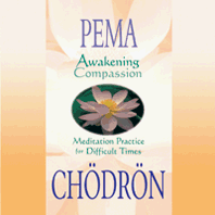 Awakening Compassion by Pema Chodron: Choose format-CD ($69.95)