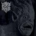 Lurker of Chalice
