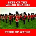 Pride of Wales: Best of the Welsh Guards