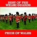 Click here to Compare Prices of Pride of Wales: Best of the Welsh Guards