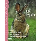 Détails sur le produit