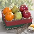 Catalina Trio Fruit Gift