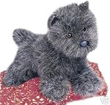 Heather Cairn Terrier by Douglas