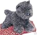   - Heather Cairn Terrier by Douglas