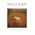 England: An Aerial View