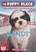 The Puppy Place: Bandit