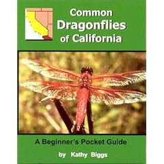 Common Dragon Flies of California: A Beginner's Pocket Guide