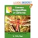 Common Dragonflies of California : A Beginner's Pocket Guide