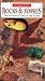 Rocks
and
Fossils:
The
Ultimate
Guide
to
the
Earth
(Nature
Company
Guides)