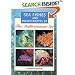Sea Fishes and Invertebrates of the Mediterranean