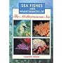 Sea Fishes and Invertebrates of the Mediterranean