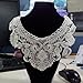 Beige Flower Neckline Lace Collar Charming Sewing Applique