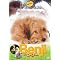 �a�h�f �q�d�m�s�`�k �e�h�k�l�r �n�e �P�X�V�T