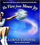 The View from Mount Joy: A Novel