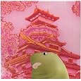 Merzbeat by Merzbow