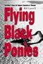 Flying Black Ponies: The Navy's Close Air Support Squadron in Vietnam