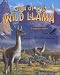 Land of the Wild Llama: A Story of the Patagonian Andes (Soundprints Wild Habitat Collection)