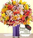 200 Blooms for Mom with Free Purple Trumpet Vase & Chocolates by Proflowers Cheap