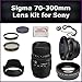 Sigma 70-300mm f/4-5.6 DG Macro Autofocus Lens Kit for Sony SLT-A33, SLT-A55, SLT-A35 Digital SLR Cameras. Package Includes: 0.45X Wide Angle Lens, 2X Telephoto Lens, Lens Cap, Lens Hood, Lens Cap Keeper, 3 Piece Filter Kit (UV-FLD-CPL) and Microfiber Cleaning Cloth